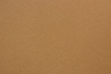 Camel brown colored tinted paper texture swatch.