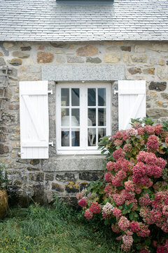 hydrangea by window in France Brittany