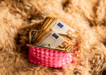 detail of bundles of 50 euro notes. 