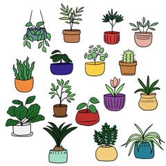 Fototapeta premium Potted plants houseplants drawings in color