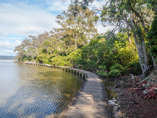 Curved Boardwalk