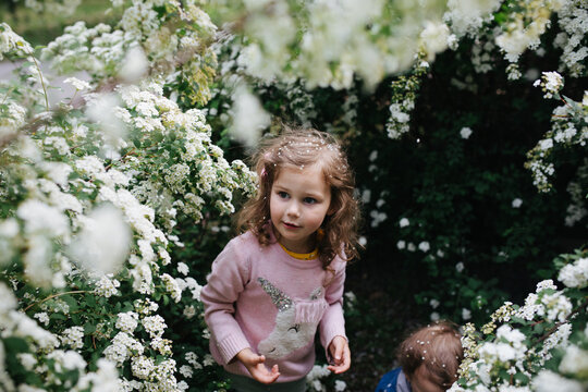 Children playing in the blooming bushes