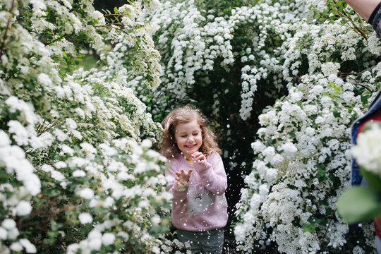 Child in the blooming bushes