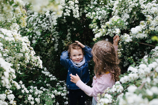 Children playing in the blooming bushes