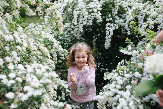 Child in the blooming bushes