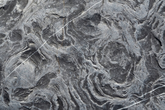 Grey Organic Lines Abstract Stone Texture