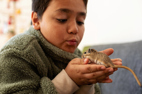 young boy  PLAYING WITH JERBO