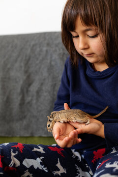 cute young girl and gerbil