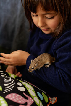 little girl and hamster