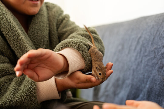 boy holding a gerbil