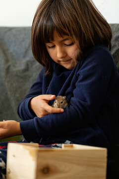 young girl playing with gerbil