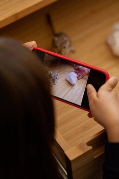 kids taking gerbil photo