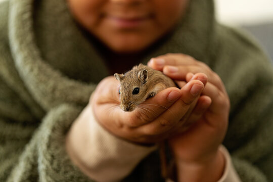tiny littl


e gerbil
