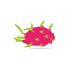 a beautiful dragon fruit  vector artwork drawing  illustration