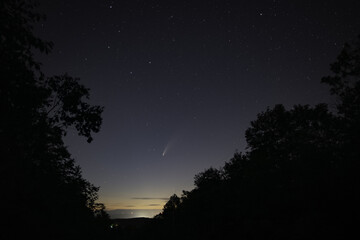 Starry Night Sky