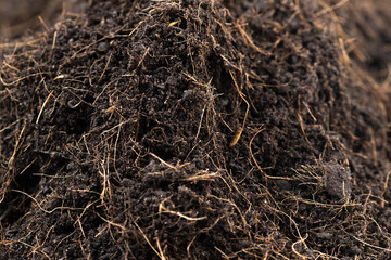 Black Fertilize Soil ready to planting, good organic soils with root for garden farming, pile set texture detail of soil with roots dust dirty.  close up selective focus over White background Isolated