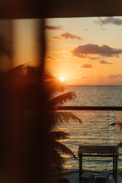 Sunrise in the caribbean sea with palm trees