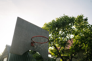 Basketball hoop on a summer day