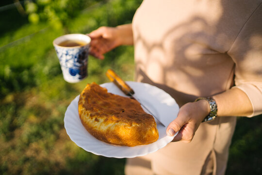 Homemade pie on sunny day