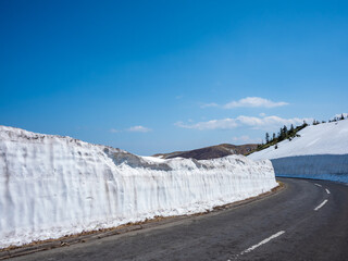 雪の回廊