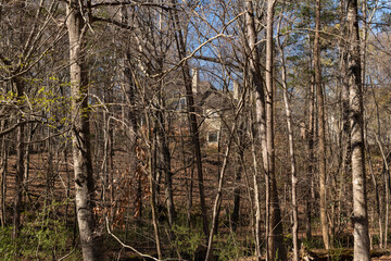 Hidden mansion tucked into the woods on Mallard Creek Greenway, part of the Cross-Charlotte Trail. Real estate and home ownership concept.