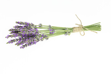 Lavender bouquets on an isolated background. Purple flowers.