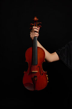 Female hand holding violin