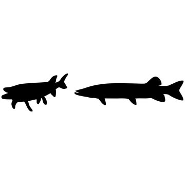 muskellunge fish silhouette