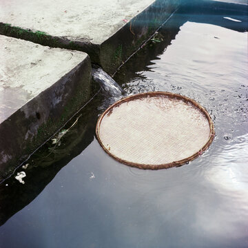 Bamboo Dustpan in the drain