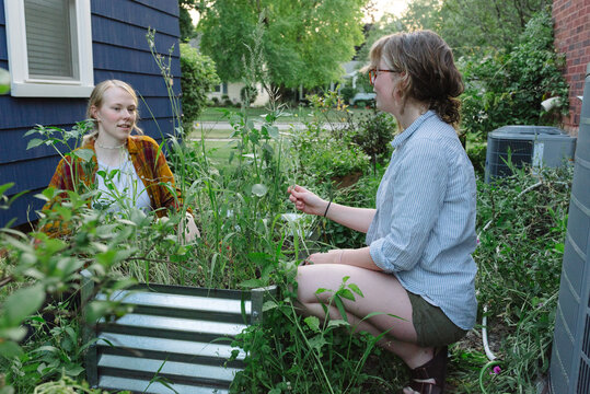 Friends pulling weeds
