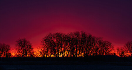 sunset in the forest