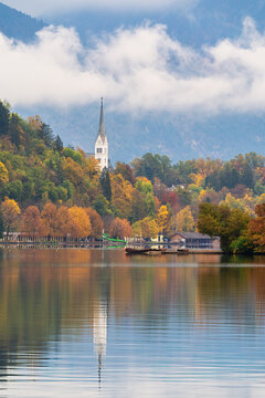Lake Bled View  