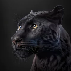 Foto auf Leinwand "Sleek and Mysterious: A Captivating Stock Photo Featuring a Majestic Black Panther as a Striking and Powerful Subject that Commands Attention and Inspires the Imagination © Denis