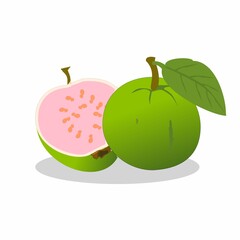 2d drawing  single Fresh Fruits illustrastion with fresh colour