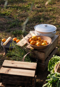 Closeup of fresh fruit ingredients placed outdoors on the grass