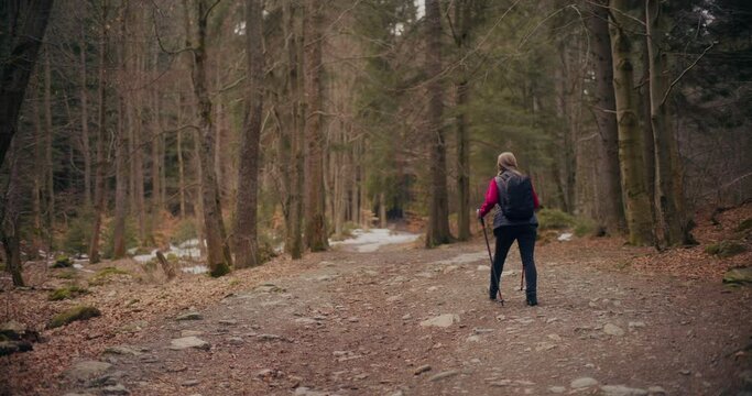 Woman Nordic Walking In Mountains Forest