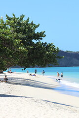 Fototapeta premium Grenada Tropical Beach