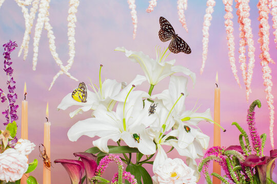 Flowers, candles, butterflies and bugs 