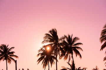 Fototapeta premium Palm Trees During Pink Sky Sunset