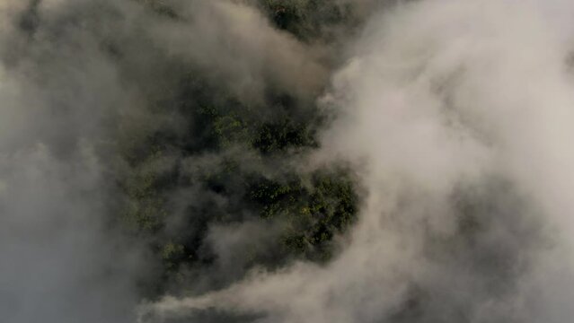 Drone Film - Koh Samui - Thailand - bird vies over drfting cumuls clouds and visible jungle beneath