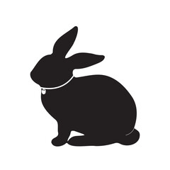 black rabbit isolated on white