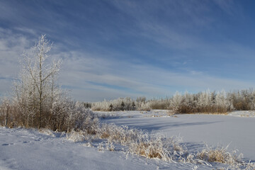 Pylypow Wetlands in the Winter