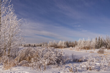 Pylypow Wetlands in the Winter