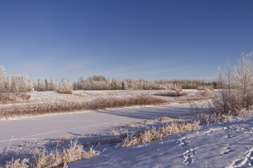 Pylypow Wetlands in the Winter