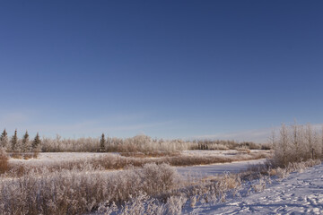 Pylypow Wetlands in the Winter