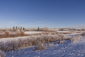 Pylypow Wetlands in the Winter