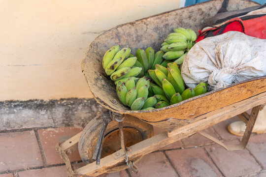 Bananas On A Wheelbarrow.