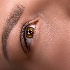 permanent eyeliner makeup close up. Healthy and clean skin young woman - obrazy, fototapety, plakaty