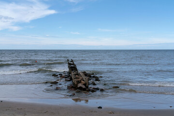 Fototapeta na wymiar View of the Baltic Sea and wooden breakwaters of the city beach on a summer day, Svetlogorsk, Kaliningrad region, Russia