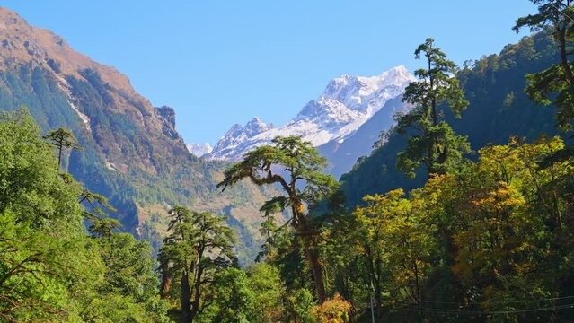Parallax of beautiful mountain forest landscape with snow capped Himalayan mountain in the distance, Annapurna, Nepal